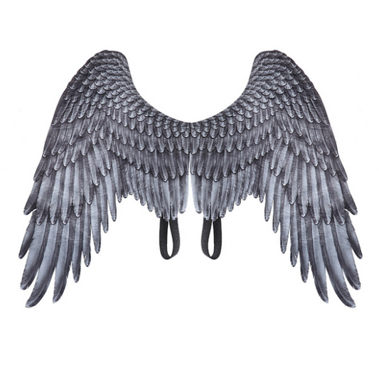 Feathered Costume Wings