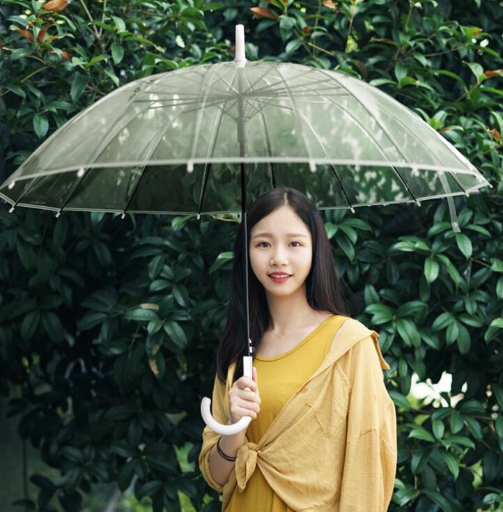 Transparent Umbrella