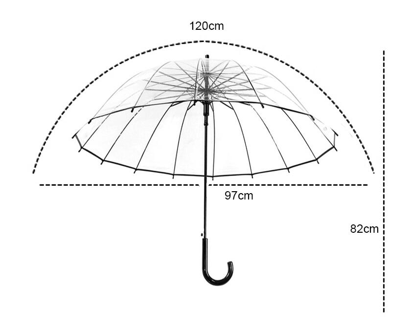 Transparent Umbrella